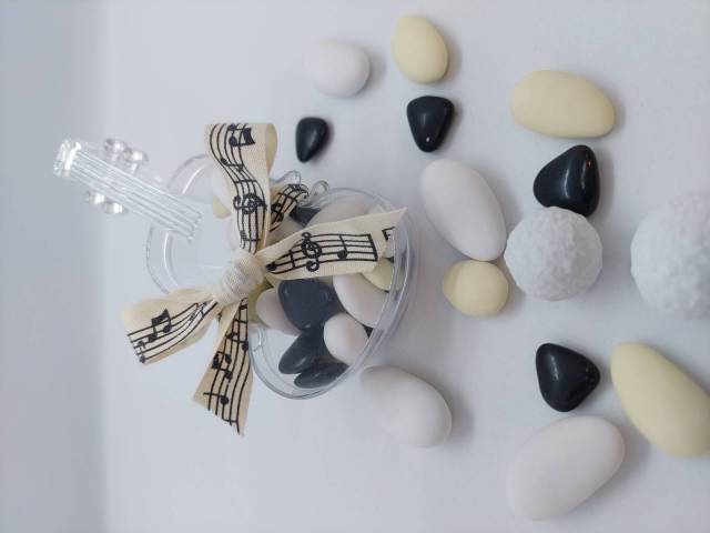 VIOLON TRANSPARENT