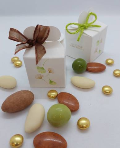 CUBE CANDY GINKO