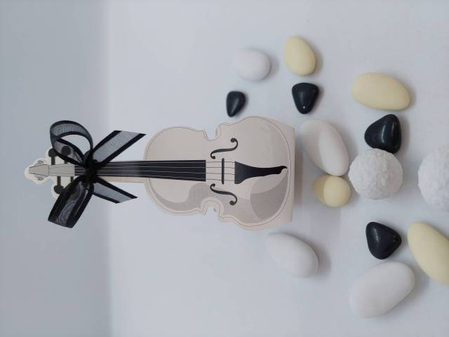 CORNET VIOLON