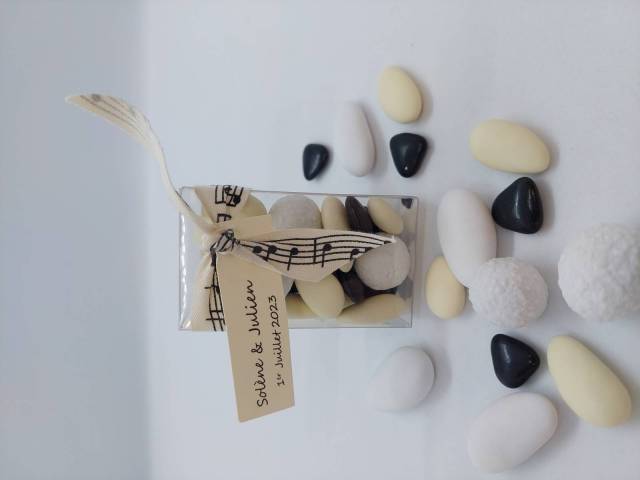 ETUI RECTANGLE RUBAN MUSIQUE