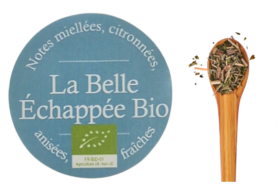 Les Infusions de Plantes